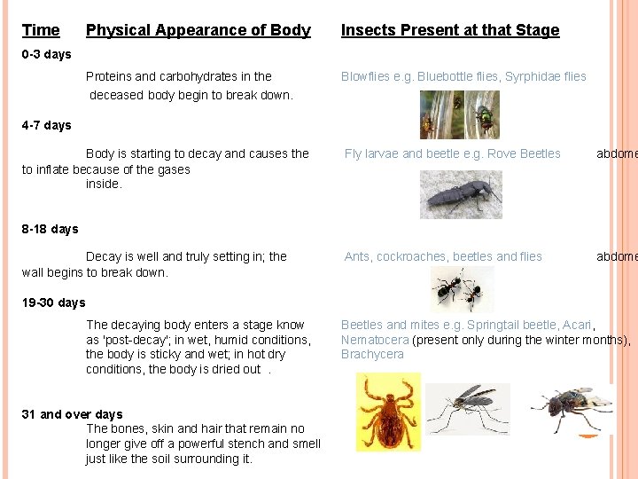 Time Physical Appearance of Body Insects Present at that Stage Proteins and carbohydrates in