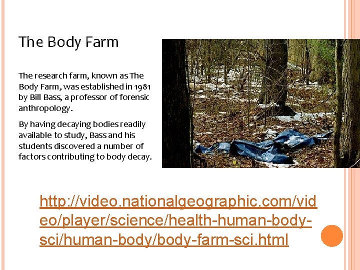 The Body Farm The research farm, known as The Body Farm, was established in