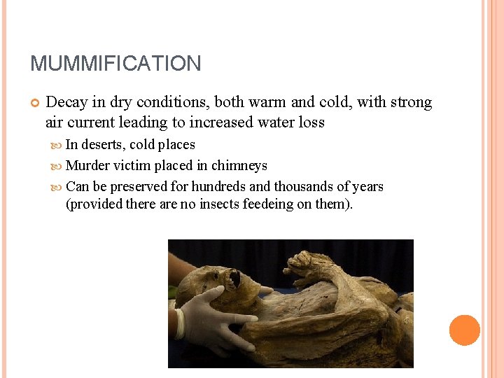 MUMMIFICATION Decay in dry conditions, both warm and cold, with strong air current leading