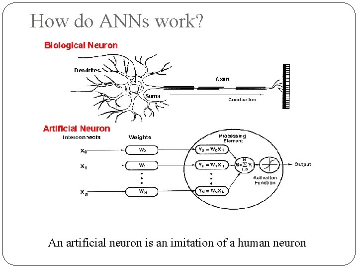 How do ANNs work? An artificial neuron is an imitation of a human neuron