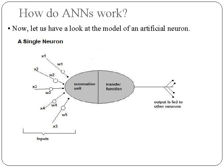 How do ANNs work? • Now, let us have a look at the model