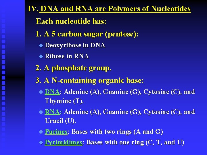 IV. DNA and RNA are Polymers of Nucleotides Each nucleotide has: 1. A 5