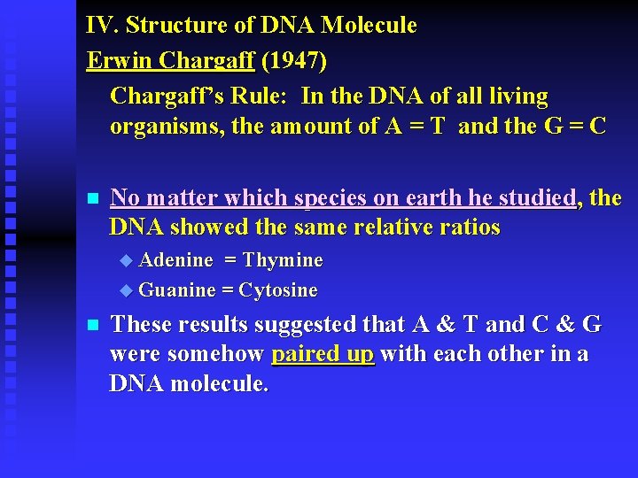 IV. Structure of DNA Molecule Erwin Chargaff (1947) Chargaff’s Rule: In the DNA of