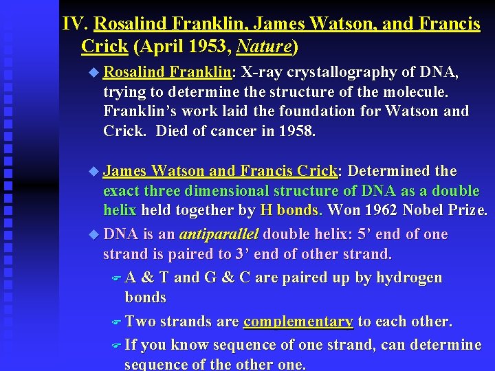 IV. Rosalind Franklin, James Watson, and Francis Crick (April 1953, Nature) u Rosalind Franklin: