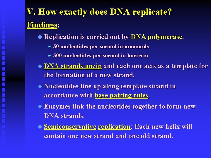 V. How exactly does DNA replicate? Findings: u Replication is carried out by DNA