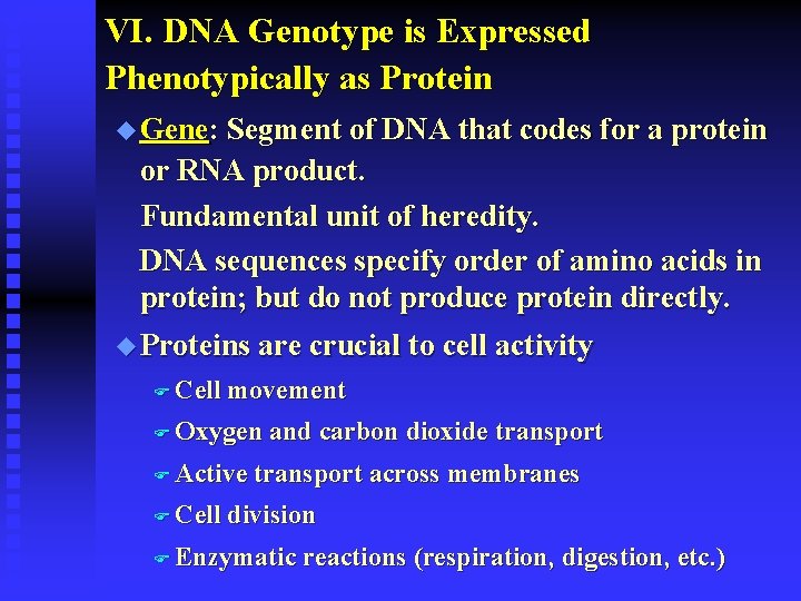 VI. DNA Genotype is Expressed Phenotypically as Protein u Gene: Segment of DNA that