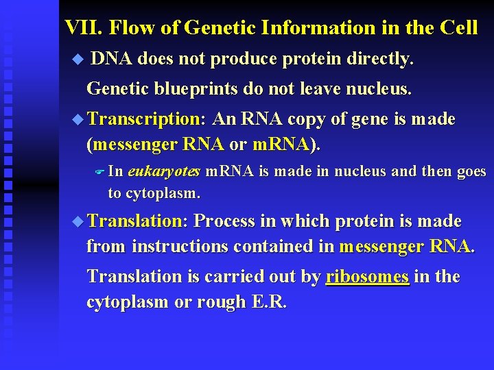 VII. Flow of Genetic Information in the Cell u DNA does not produce protein