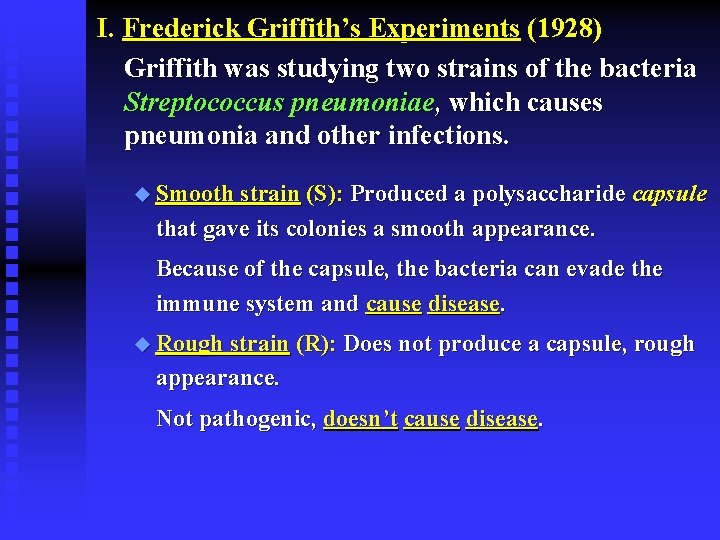 I. Frederick Griffith’s Experiments (1928) Griffith was studying two strains of the bacteria Streptococcus