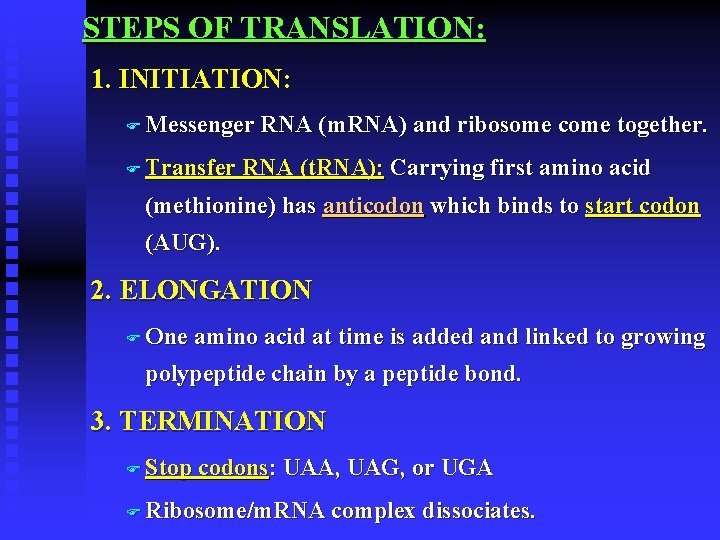 STEPS OF TRANSLATION: 1. INITIATION: F Messenger F Transfer RNA (m. RNA) and ribosome