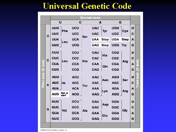 Universal Genetic Code 