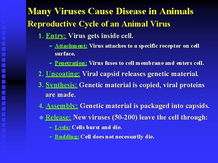 Many Viruses Cause Disease in Animals Reproductive Cycle of an Animal Virus 1. Entry: