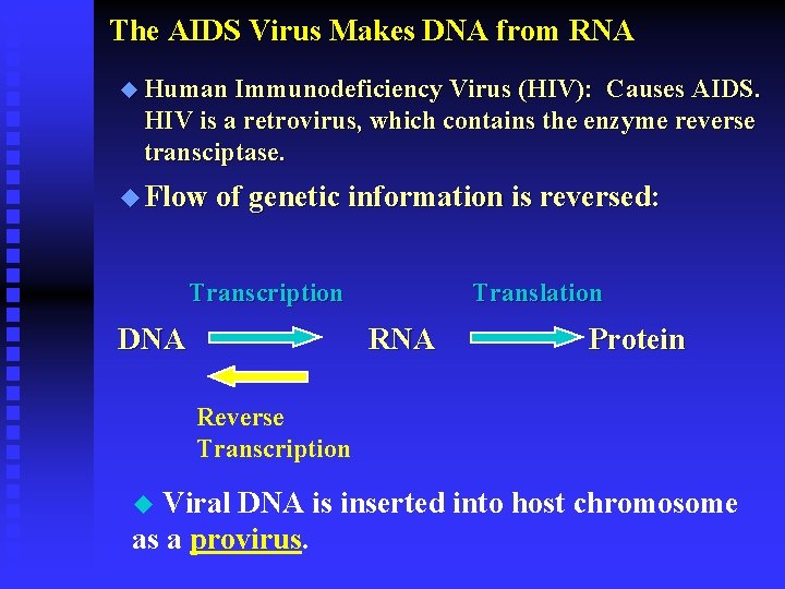 The AIDS Virus Makes DNA from RNA u Human Immunodeficiency Virus (HIV): Causes AIDS.