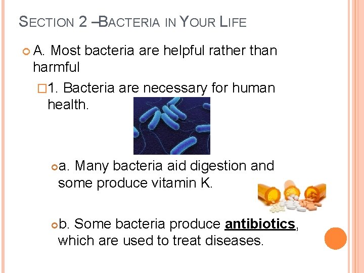 SECTION 2 –BACTERIA IN YOUR LIFE A. Most bacteria are helpful rather than harmful