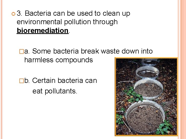  3. Bacteria can be used to clean up environmental pollution through bioremediation. �a.