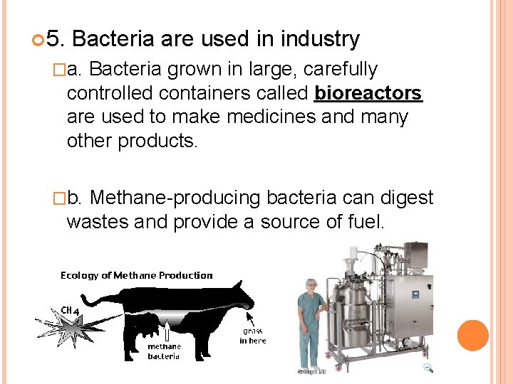  5. Bacteria are used in industry �a. Bacteria grown in large, carefully controlled