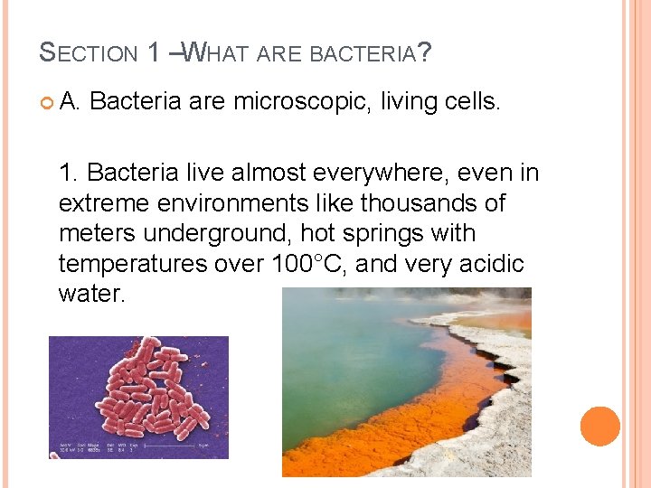SECTION 1 –WHAT ARE BACTERIA? A. Bacteria are microscopic, living cells. 1. Bacteria live