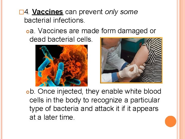 � 4. Vaccines can prevent only some bacterial infections. a. Vaccines are made form