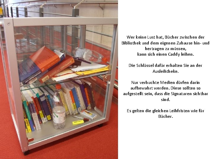 Wer keine Lust hat, Bücher zwischen der Bibliothek und dem eigenen Zuhause hin- und