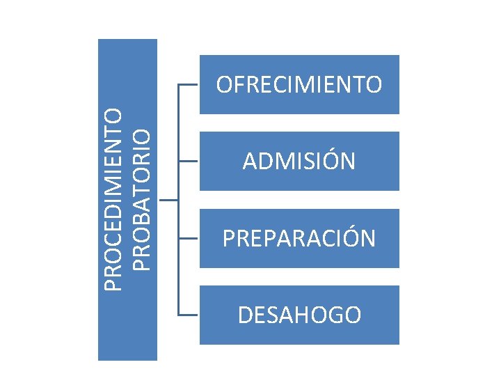 PROCEDIMIENTO PROBATORIO OFRECIMIENTO ADMISIÓN PREPARACIÓN DESAHOGO 