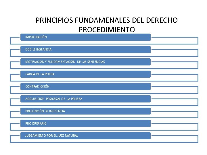 PRINCIPIOS FUNDAMENALES DEL DERECHO PROCEDIMIENTO IMPUGNACIÓN DOB LE INSTANCIA MOTIVACIÓN Y FUNDAMENTACIÓN DE LAS