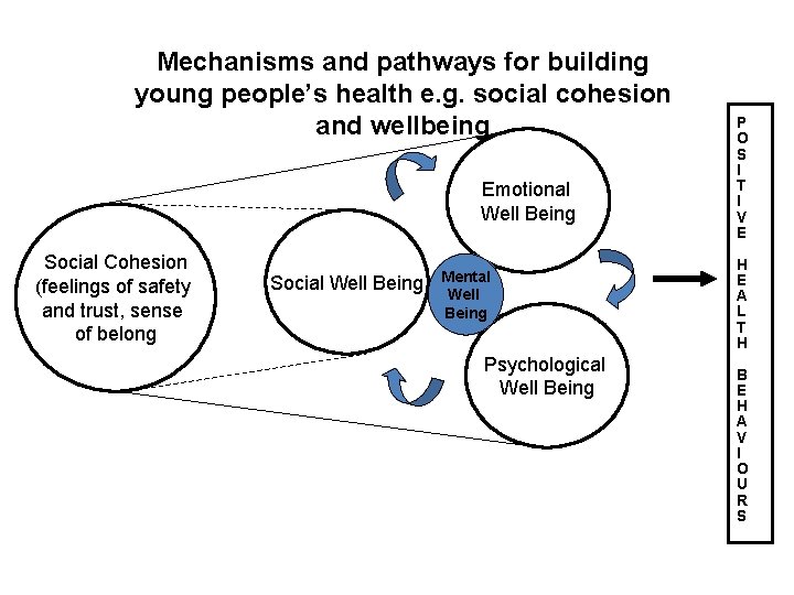 Mechanisms and pathways for building young people’s health e. g. social cohesion and wellbeing