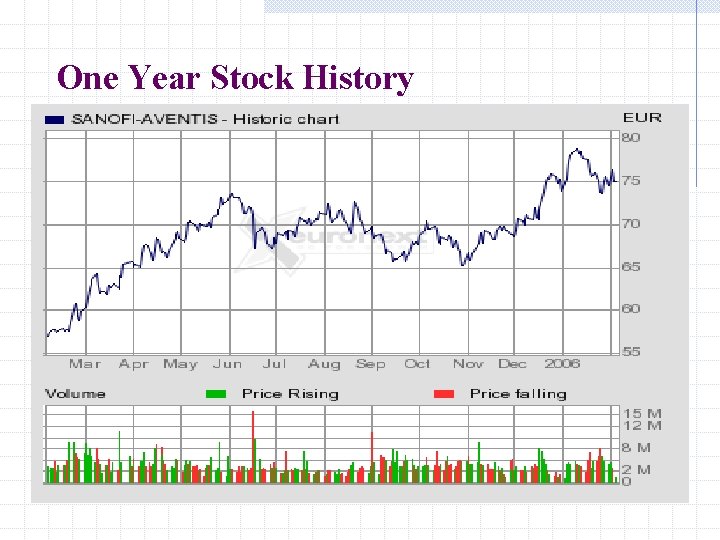 One Year Stock History 