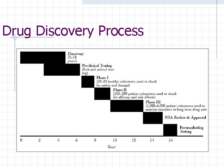 Drug Discovery Process 