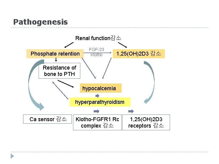 Pathogenesis Renal function감소 Phosphate retention FGF-23 Klotho 1, 25(OH)2 D 3 감소 Resistance of