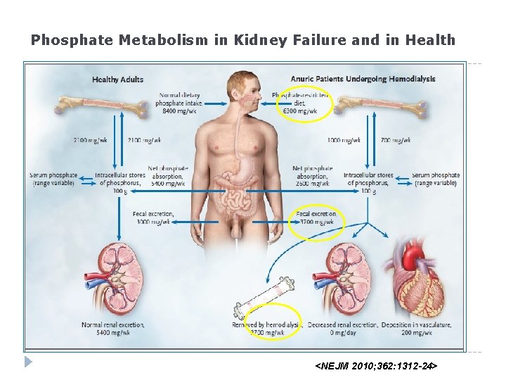 Phosphate Metabolism in Kidney Failure and in Health <NEJM 2010; 362: 1312 -24> 