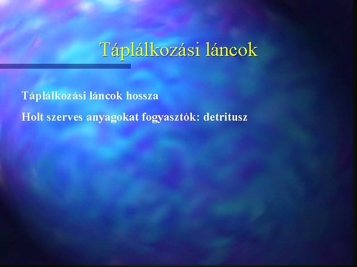 Táplálkozási láncok hossza Holt szerves anyagokat fogyasztók: detritusz 