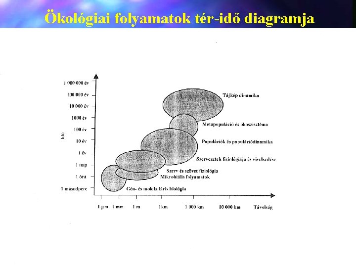 Ökológiai folyamatok tér-idő diagramja 