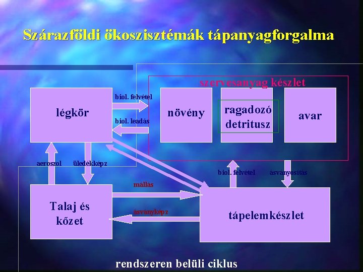 Szárazföldi ökoszisztémák tápanyagforgalma szervesanyag készlet biol. felvétel légkör aeroszol biol. leadás növény ragadozó detritusz