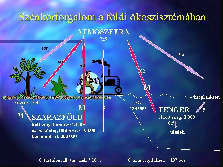 Szénkörforgalom a földi ökoszisztémában ATMOSZFÉRA 725 120 105 60 60 102 M fitoplankton Növény: