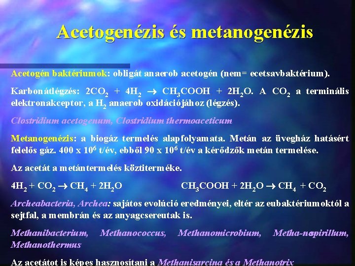 Acetogenézis és metanogenézis Acetogén baktériumok: obligát anaerob acetogén (nem= ecetsavbaktérium). Karbonátlégzés: 2 CO 2