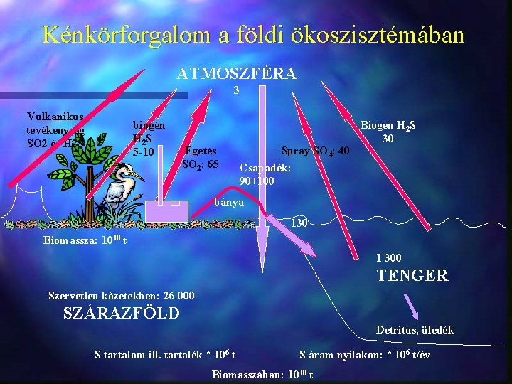 Kénkörforgalom a földi ökoszisztémában ATMOSZFÉRA 3 Vulkanikus tevékenység SO 2 és H 2 S