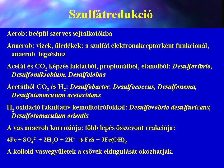 Szulfátredukció Aerob: beépül szerves sejtalkotókba Anaerob: vizek, üledékek: a szulfát elektronakceptorként funkcionál, anaerob légzéshez