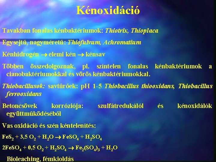 Kénoxidáció Tavakban fonalas kénbaktériumok: Thiotrix, Thioplaca Egysejtű, nagyméretű: Thiofulvum, Achromatium Kénhidrogén elemi kénsav Többen