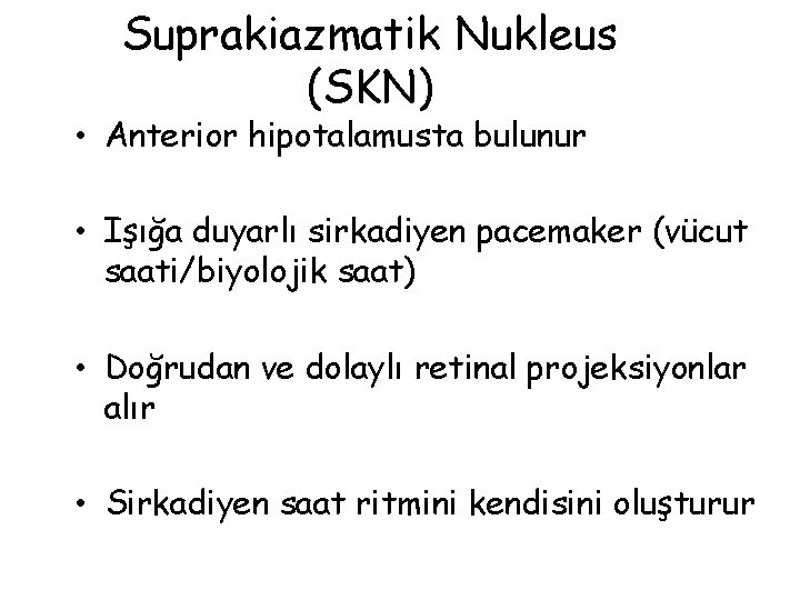 Suprakiazmatik Nukleus (SKN) • Anterior hipotalamusta bulunur • Işığa duyarlı sirkadiyen pacemaker (vücut saati/biyolojik