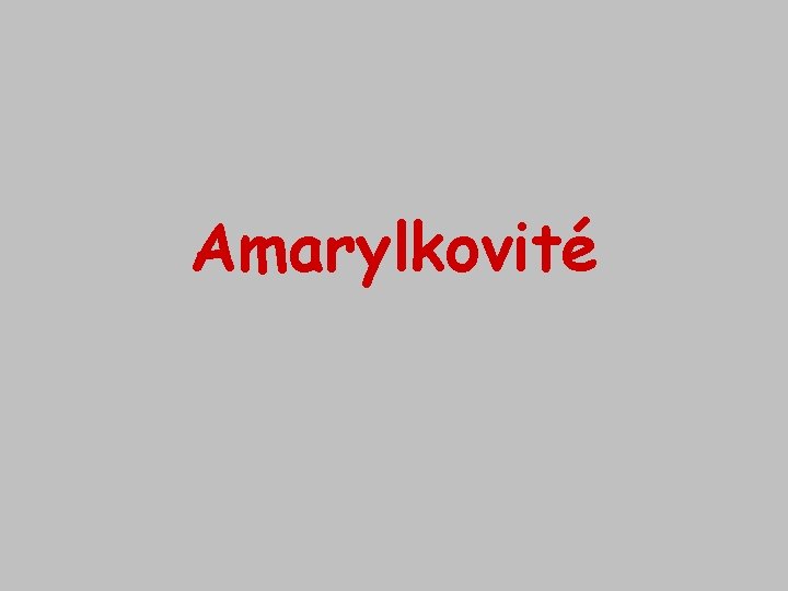 Amarylkovité 