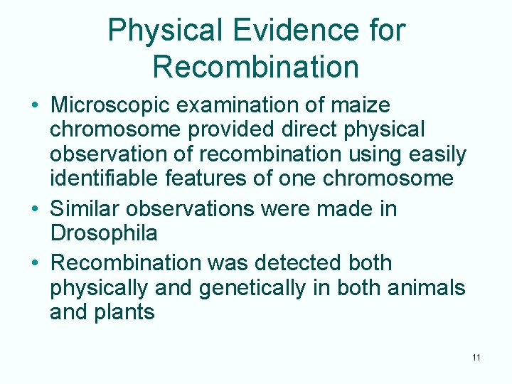 Physical Evidence for Recombination • Microscopic examination of maize chromosome provided direct physical observation