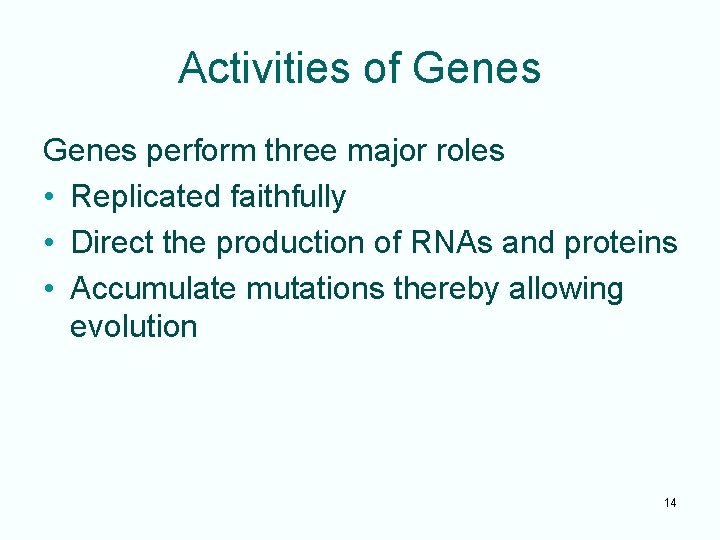 Activities of Genes perform three major roles • Replicated faithfully • Direct the production