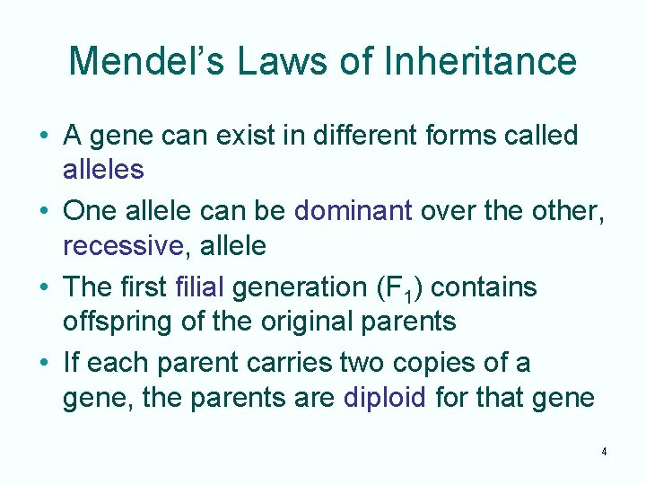 Mendel’s Laws of Inheritance • A gene can exist in different forms called alleles