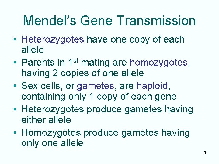 Mendel’s Gene Transmission • Heterozygotes have one copy of each allele • Parents in