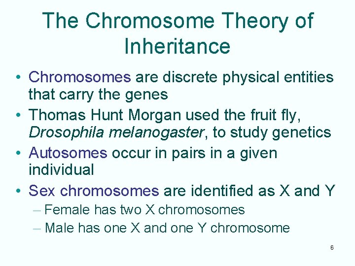 The Chromosome Theory of Inheritance • Chromosomes are discrete physical entities that carry the