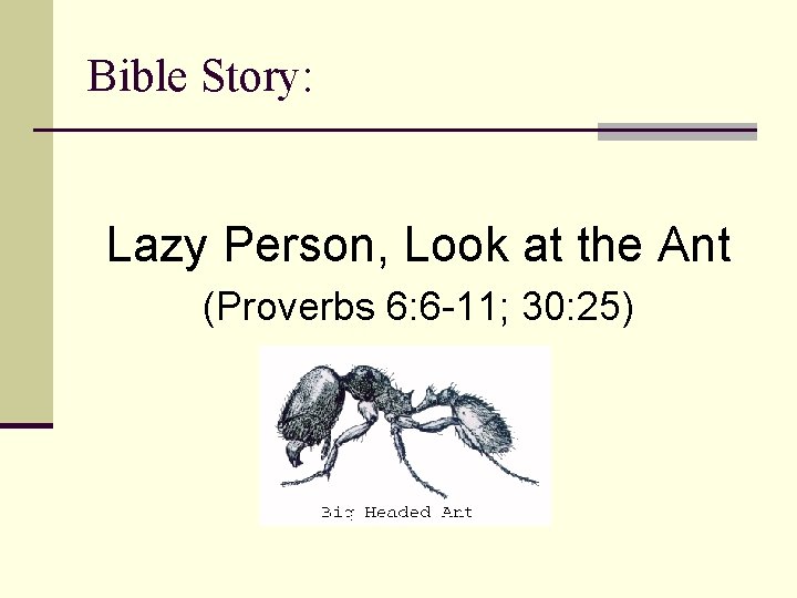 Bible Story: Lazy Person, Look at the Ant (Proverbs 6: 6 -11; 30: 25)