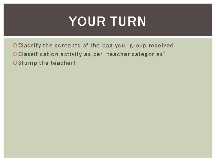 YOUR TURN Classify the contents of the bag your group received Classification activity as YOUR TURN Classify the contents of the bag your group received Classification activity as
