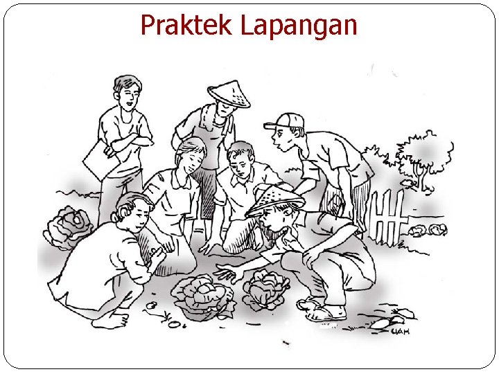 Praktek Lapangan 