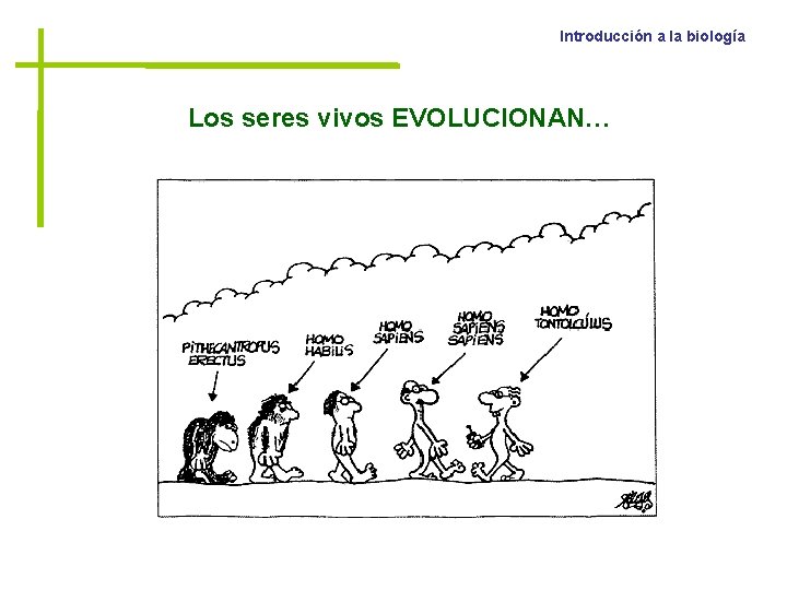 Introducción a la biología Los seres vivos EVOLUCIONAN… 