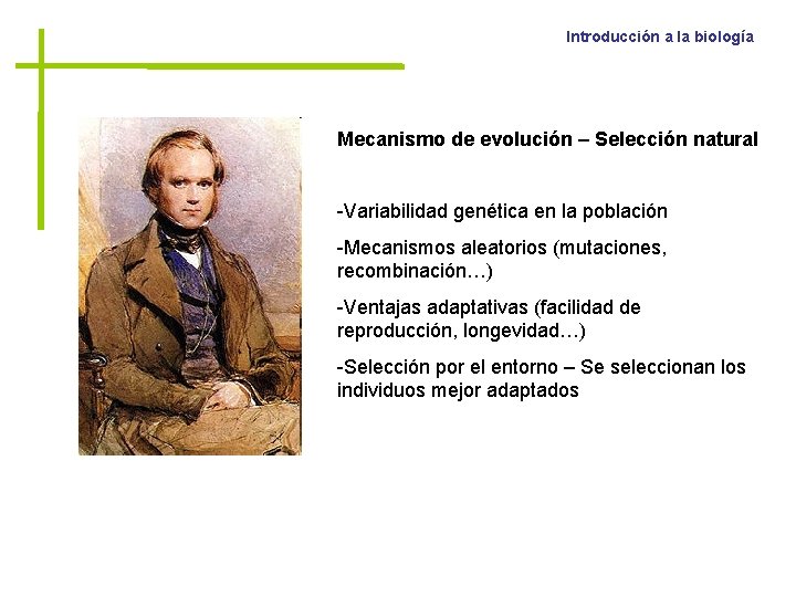Introducción a la biología Mecanismo de evolución – Selección natural -Variabilidad genética en la