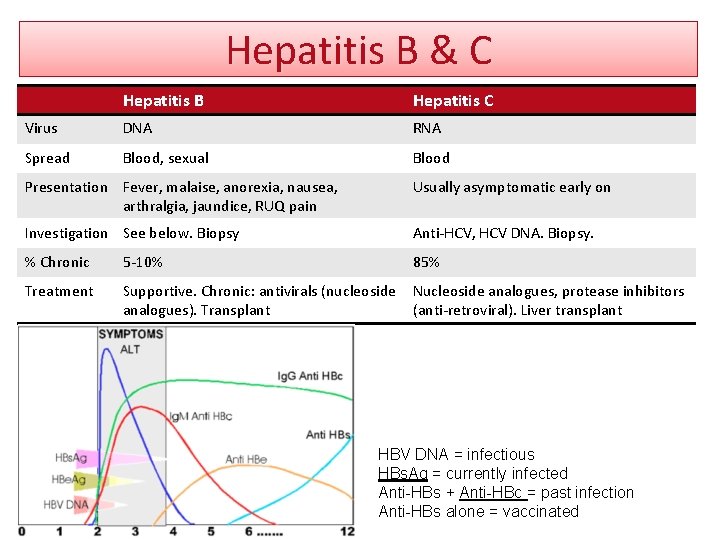 Hepatitis B & C Hepatitis B Hepatitis C Virus DNA RNA Spread Blood, sexual